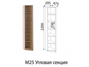 М25 Угловая секция в Сысерти - sysert.magazinmebel.ru | фото