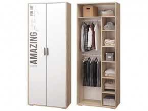 Шкаф для одежды в Сысерти - sysert.magazinmebel.ru | фото