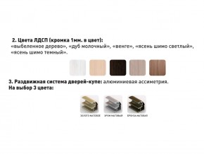 Шкаф-купе Акцент-Сим Д 1000-600 шимо тёмный в Сысерти - sysert.magazinmebel.ru | фото - изображение 3